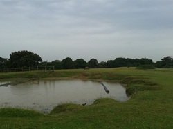 Winey Hill Dew Pond