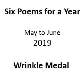 Wrinkle Medal