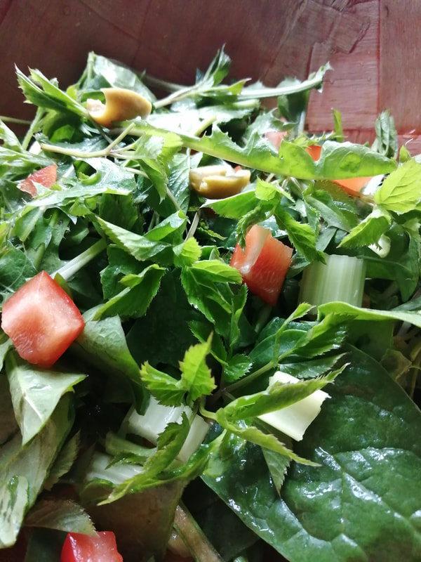 Foraged Salad